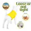 Plain Dog Shirts | https://www.bestnamebadges.com
