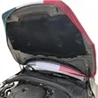 Flexible Polyester Coupe MPV Car Hood Flag Various Colors | https://www.bestnamebadges.com
