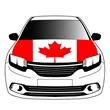 Flexible Polyester Coupe MPV Car Hood Flag Various Colors | https://www.bestnamebadges.com