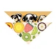 Small Pet Bandana | https://www.bestnamebadges.com