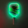 LED Light Up Pickle Ball Paddle Glow In Dark | https://www.bestnamebadges.com