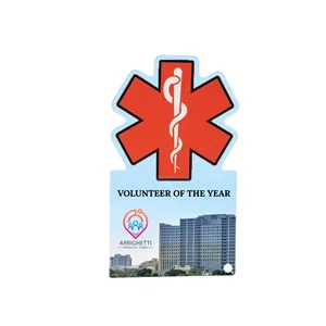 Acrylic-Award-Custom-Shape-5-