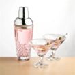 Brinkley Shaker & Martini Set | https://www.bestnamebadges.com