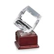 Carlton Award on Radison | https://www.bestnamebadges.com