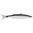Promo Fish Style Pen | https://www.bestnamebadges.com