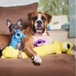 Mini 6-Inch Dog Toy | https://www.bestnamebadges.com
