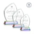 Daltry Award on Newhaven Base - Prismatic | https://www.bestnamebadges.com