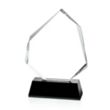 Warner Award - Black | https://www.bestnamebadges.com