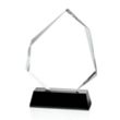 Warner Award - Black | https://www.bestnamebadges.com