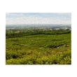 252 Piece Jigsaw Photo Puzzle | https://www.bestnamebadges.com
