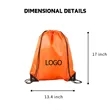 Dual-Shoulder Drawstring Polyester Water-Resistant Backpack | https://www.bestnamebadges.com