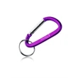 Metal Carabiner Keychains | https://www.bestnamebadges.com