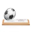 Northam VividPrint™ Award - Soccer | https://www.bestnamebadges.com