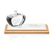 Northam Apple Award - Deep Etch | https://www.bestnamebadges.com