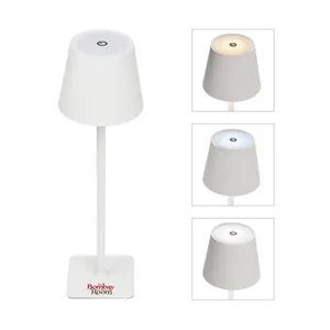 Theo LED Rechargeable Desk Lamp | https://www.bestnamebadges.com