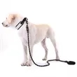 Dog Leash | https://www.bestnamebadges.com