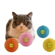 Cat Toys Balls | https://www.bestnamebadges.com
