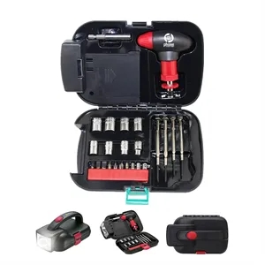Auto Light Screwdriver Tool Kit
