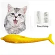 Cat Mint Fish Chew Toy | https://www.bestnamebadges.com