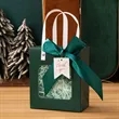 Gift Bags with Clear Window | https://www.bestnamebadges.com