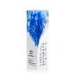 Brandino Award - Blue | https://www.bestnamebadges.com
