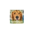 12"x12" Magnet Promo Sign | https://www.bestnamebadges.com