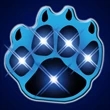 Flashing Paw Print Lights | https://www.bestnamebadges.com
