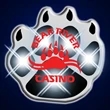 Flashing Paw Print Lights | https://www.bestnamebadges.com