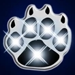 Flashing Paw Print Lights | https://www.bestnamebadges.com