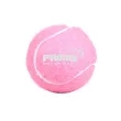Customizable Lightweight Rubber Cricket Tennis Ball | https://www.bestnamebadges.com