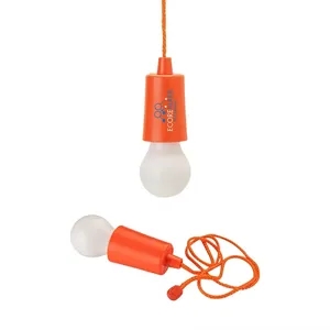 Twinkle Hanging Light | https://www.bestnamebadges.com