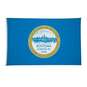 5' x 8' City Flag