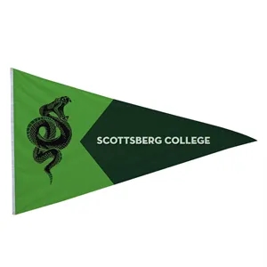 5' x 8' Nylon Pennant Flag Single-Sided