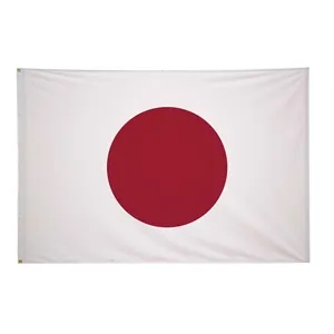 4' x 6' International Flag