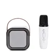 PartyWave Portable Karaoke System | https://www.bestnamebadges.com