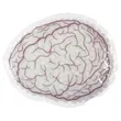 Brain Hot/Cold Pack | https://www.bestnamebadges.com