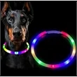 Light Up Dog Collar | https://www.bestnamebadges.com