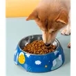 Stainless Steel Dog Bowl | https://www.bestnamebadges.com
