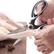 Stainless Steel Multi-Use Scissors With Bottle Opener | https://www.bestnamebadges.com