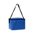 Insulated 6 Pack Cooler | https://www.bestnamebadges.com