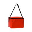 Insulated 6 Pack Cooler | https://www.bestnamebadges.com