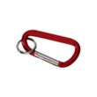 Carabiner with Ring | https://www.bestnamebadges.com