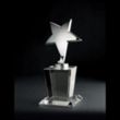 North Star Optically Perfect Award | https://www.bestnamebadges.com