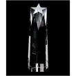 Shooting Star Large Optically Perfect Award | https://www.bestnamebadges.com