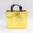 Laser Nonwoven fabrics Reusable Large Gift Tote Bags | https://www.bestnamebadges.com
