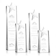 Fanshaw Silver Star Award | https://www.bestnamebadges.com