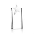 Fanshaw Silver Star Award | https://www.bestnamebadges.com