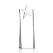 Fanshaw Silver Star Award | https://www.bestnamebadges.com