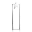 Fanshaw Silver Star Award | https://www.bestnamebadges.com
