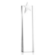 Fanshaw Silver Star Award | https://www.bestnamebadges.com